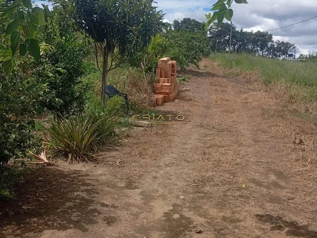 Imagem 7: Chácara Conquista - 45km de Anápolis