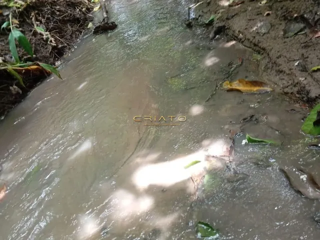 Imagem 8: Chácara Conquista - 45km de Anápolis
