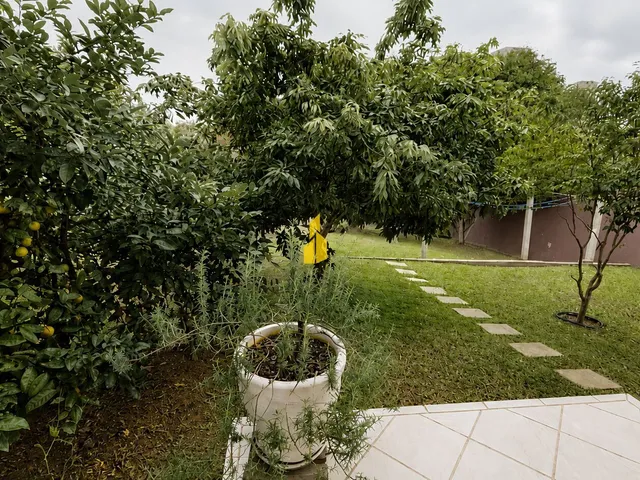 Imagem 8: Belíssima casa espaçosa com piscina, pomar e amplo terreno no bairro Imigrantes, em