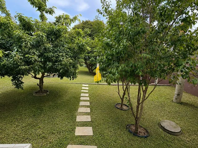 Imagem 5: Belíssima casa espaçosa com piscina, pomar e amplo terreno no bairro Imigrantes, em