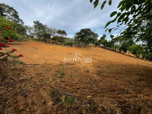 Imagem 5: CHACARA EM MUNHOZ MG 4000 METROS COM NASCENTE POMAR VISTA PANORAMICA