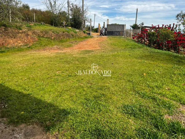 Imagem 7: CHACARA EM MUNHOZ MG 4000 METROS COM NASCENTE POMAR VISTA PANORAMICA