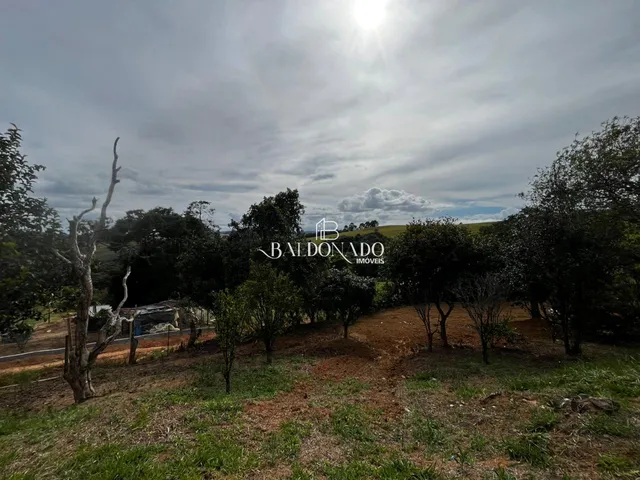 Imagem 10: CHACARA EM MUNHOZ MG 4000 METROS COM NASCENTE POMAR VISTA PANORAMICA