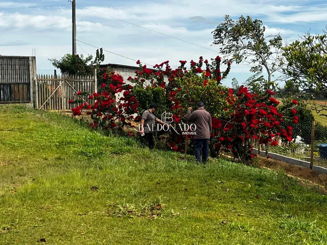 Imagem 8: CHACARA EM MUNHOZ MG 4000 METROS COM NASCENTE POMAR VISTA PANORAMICA