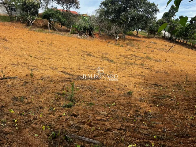 Imagem 14: CHACARA EM MUNHOZ MG 4000 METROS COM NASCENTE POMAR VISTA PANORAMICA