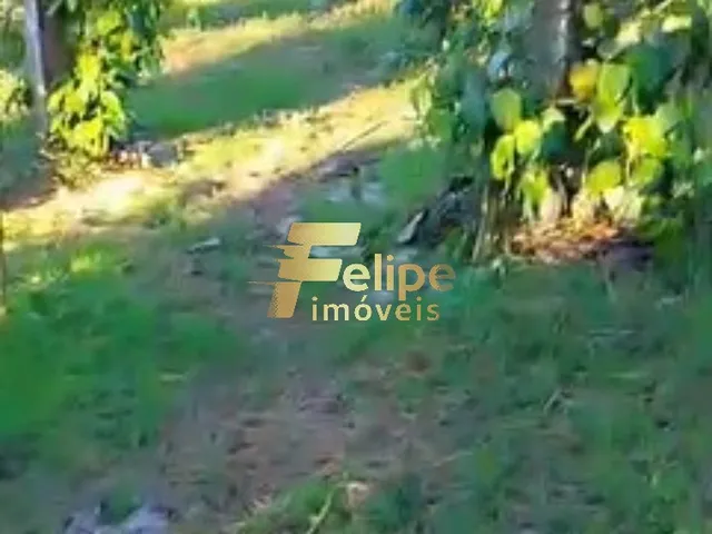 Imagem: ÁREA DE 20 HECTARES, À VENDA NA REGIÃO