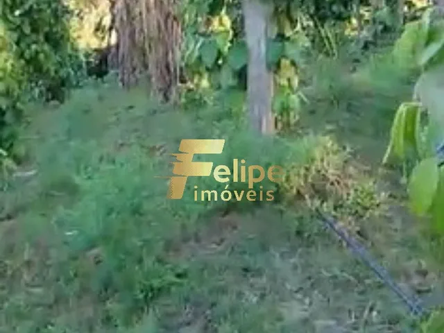 Imagem 9: ÁREA DE 20 HECTARES, À VENDA NA REGIÃO DE CORUMBAU, PRADO/BA