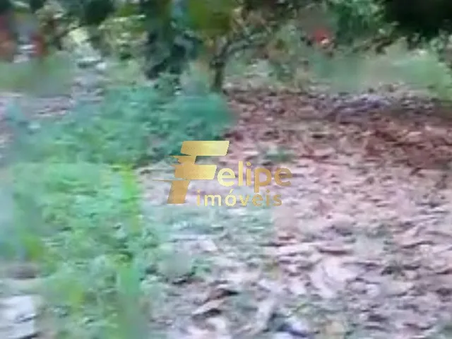 Imagem 5: ÁREA DE 20 HECTARES, À VENDA NA REGIÃO DE CORUMBAU, PRADO/BA