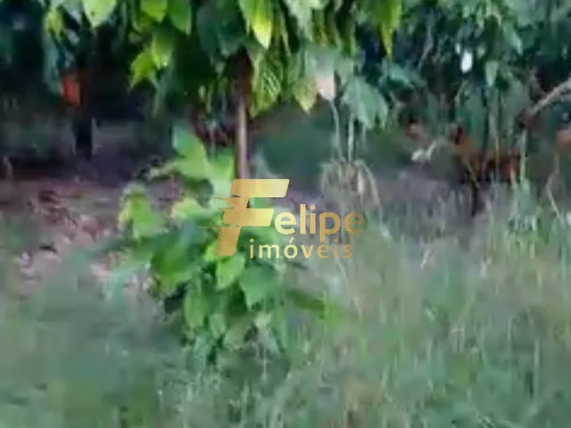 Imagem 4: ÁREA DE 20 HECTARES, À VENDA NA REGIÃO DE CORUMBAU, PRADO/BA