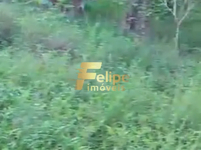 Imagem 7: ÁREA DE 20 HECTARES, À VENDA NA REGIÃO DE CORUMBAU, PRADO/BA