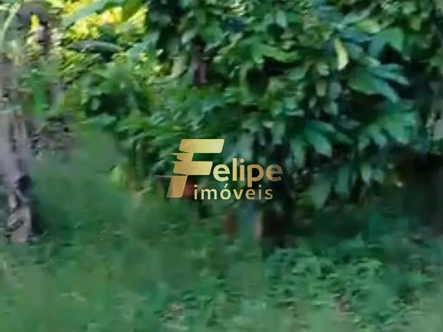 Imagem 3: ÁREA DE 20 HECTARES, À VENDA NA REGIÃO DE CORUMBAU, PRADO/BA
