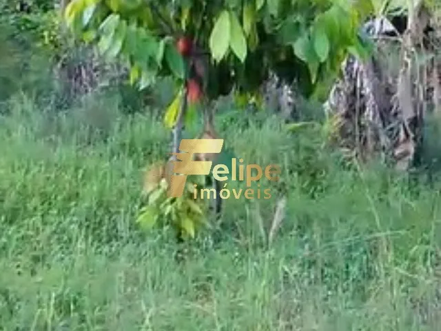 Imagem 6: ÁREA DE 20 HECTARES, À VENDA NA REGIÃO DE CORUMBAU, PRADO/BA