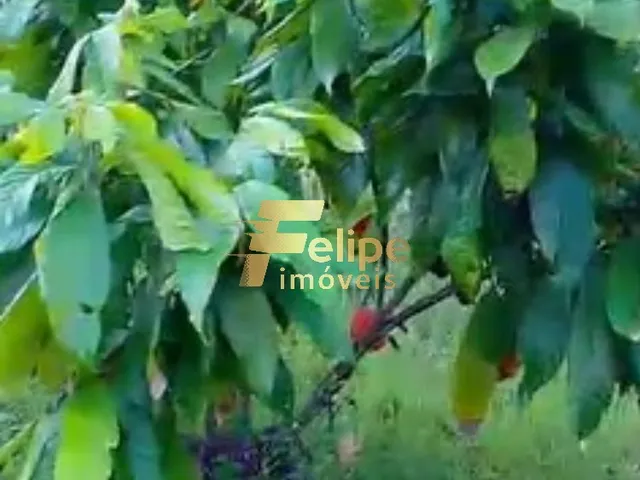 Imagem 2: ÁREA DE 20 HECTARES, À VENDA NA REGIÃO DE CORUMBAU, PRADO/BA