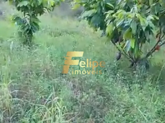 Imagem 10: ÁREA DE 20 HECTARES, À VENDA NA REGIÃO DE CORUMBAU, PRADO/BA