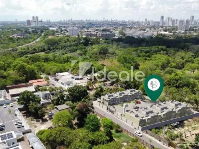 Imagem 4: COLINA DAS ARARAS- COOPHEMA