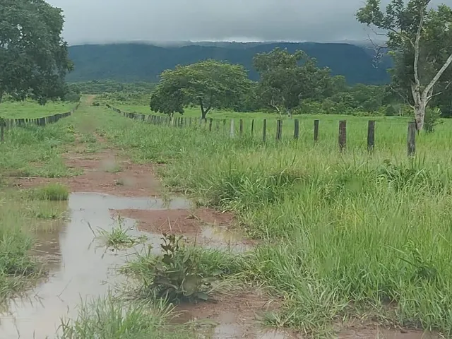 Imagem 16: Fazenda Rosário Oeste