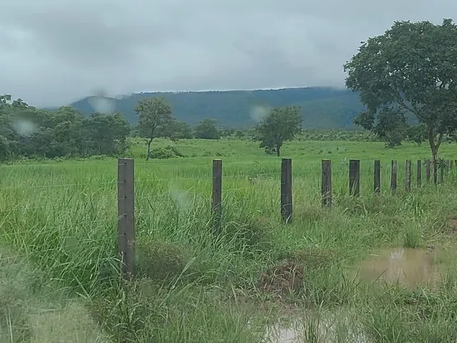 Imagem 7: Fazenda Rosário Oeste