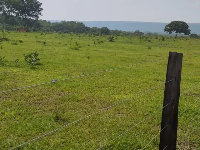 Imagem 11: Fazenda Rosário Oeste