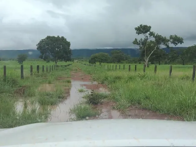Imagem 3: Fazenda Rosário Oeste