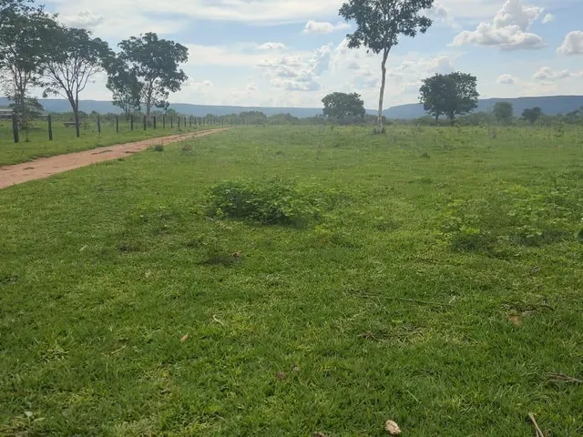 Imagem 6: Fazenda Rosário Oeste