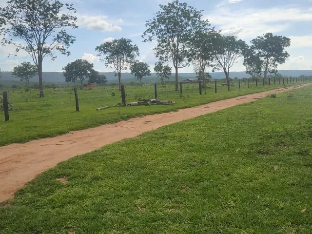 Imagem 8: Fazenda Rosário Oeste
