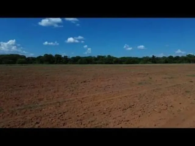 Imagem 12: Fazenda em Rosário Oeste - MT