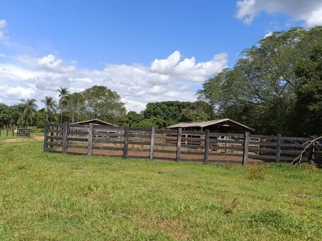 Imagem 11: Fazenda em Rosário Oeste - MT