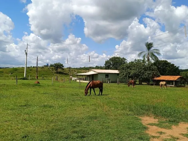 Imagem 3: Fazenda em Rosário Oeste - MT