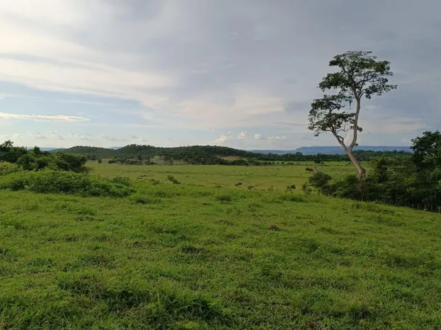 Imagem 9: Fazenda em Rosário Oeste - MT