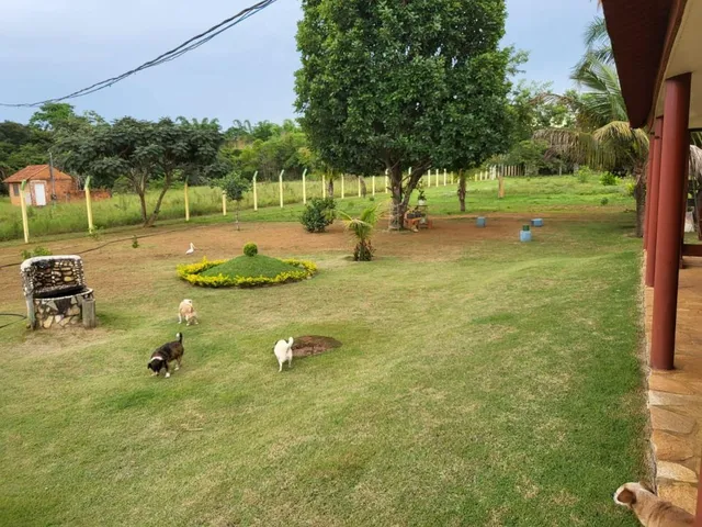 Imagem 16: Chapada dos Guimarães