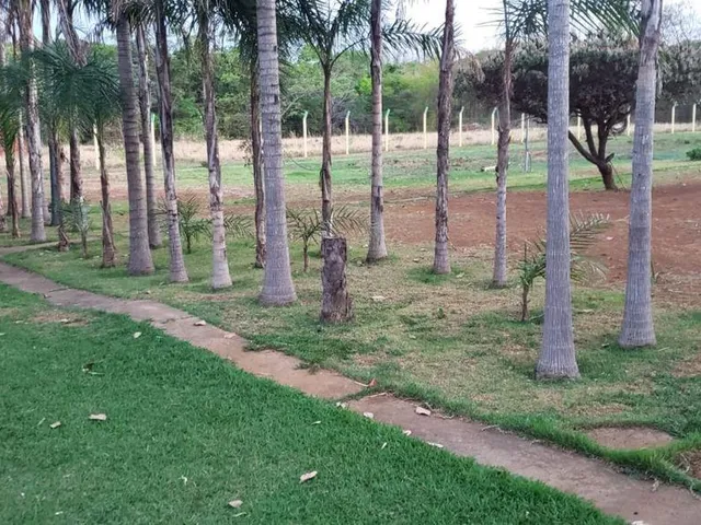 Imagem 9: Chapada dos Guimarães