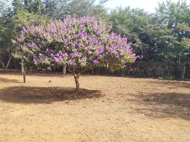 Imagem 13: Chapada dos Guimarães