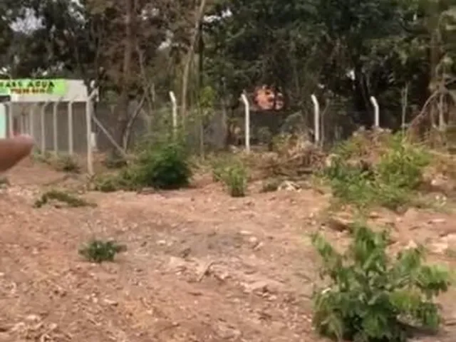 Imagem 4: PEDRA 90 Terreno / lote com venda por R$1.500.000