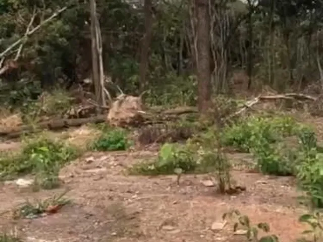 Imagem 2: PEDRA 90 Terreno / lote com venda por R$1.500.000
