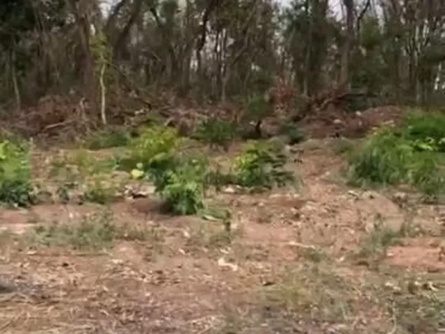 Imagem 5: PEDRA 90 Terreno / lote com venda por R$1.500.000