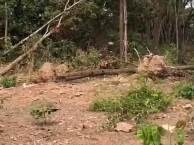 Imagem 3: PEDRA 90 Terreno / lote com venda por R$1.500.000
