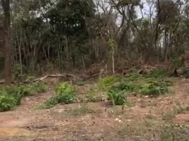 Imagem 6: PEDRA 90 Terreno / lote com venda por R$1.500.000