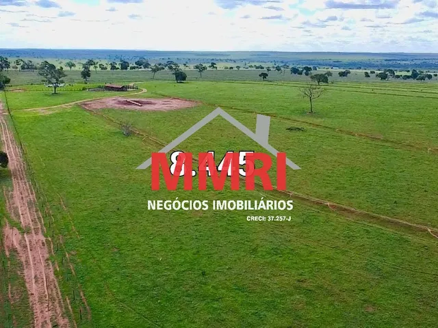 Imagem 7: FAZENDA RURAL em CASSILÂNDIA - MS, Área Rural