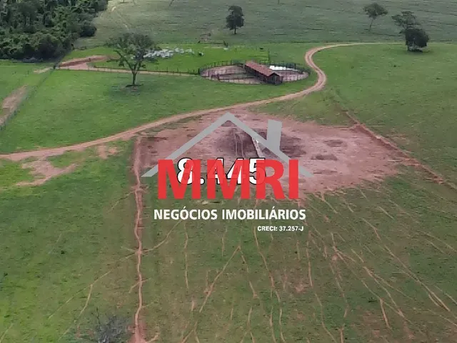 Imagem 9: FAZENDA RURAL em CASSILÂNDIA - MS, Área Rural