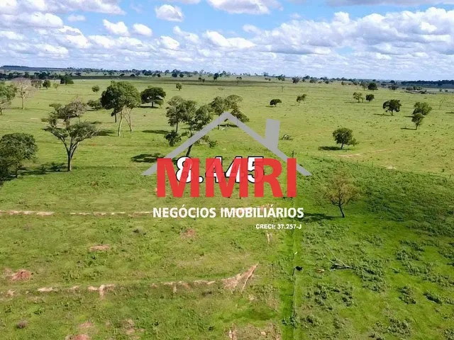 Imagem 4: FAZENDA RURAL em CASSILÂNDIA - MS, Área Rural