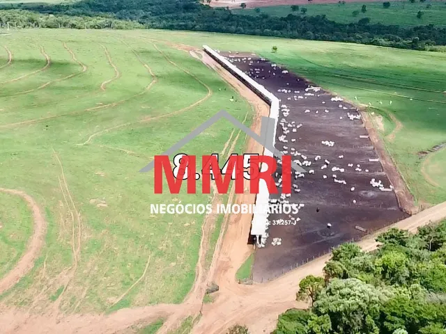 Imagem 16: FAZENDA RURAL em CASSILÂNDIA - MS, Área Rural