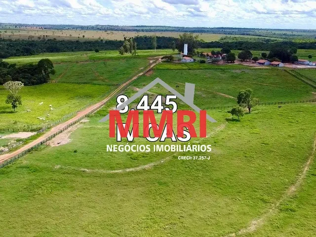 Imagem 2: FAZENDA RURAL em CASSILÂNDIA - MS, Área Rural