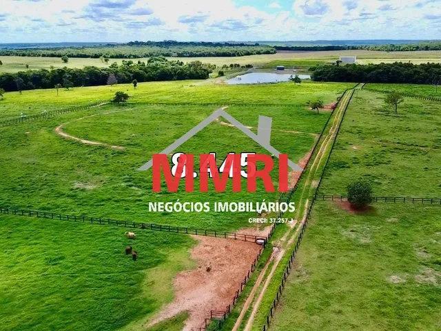 Imagem 15: FAZENDA RURAL em CASSILÂNDIA - MS, Área Rural
