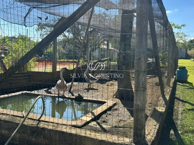 Imagem 16: Chácara à venda em Caçapava-SP, bairro Caçapava Velha: 3 quartos, 1 suíte, 1 sala, 2
