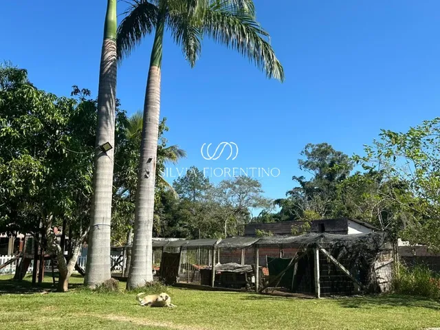 Imagem 2: Chácara à venda em Caçapava-SP, bairro Caçapava Velha: 3 quartos, 1 suíte, 1 sala, 2