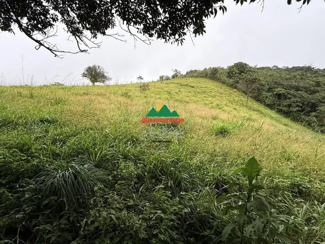 Imagem 1: Gleba com 1.867,58m² com vista e fruteiras em Mulungu/CE