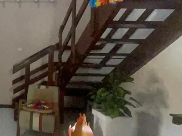 Imagem 3: CASA RESIDENCIAL em Salvador - BA, Pituba