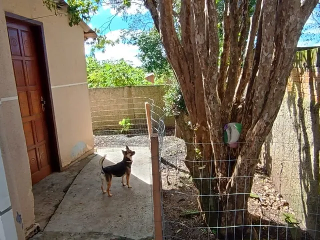 Imagem 8: Casa 02 Quartos - Jardim Itaqui!