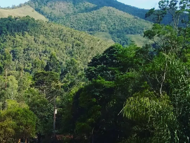 Imagem 12: CHACARA RURAL em BOCAINA DE MINAS - MG, Santo Antonio do Rio Grande