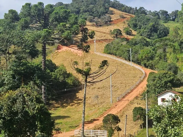 Imagem 4: Chácara em condomínio de luxo em Delfim Moreira-MG, bairro Brumado: sua oportunidade